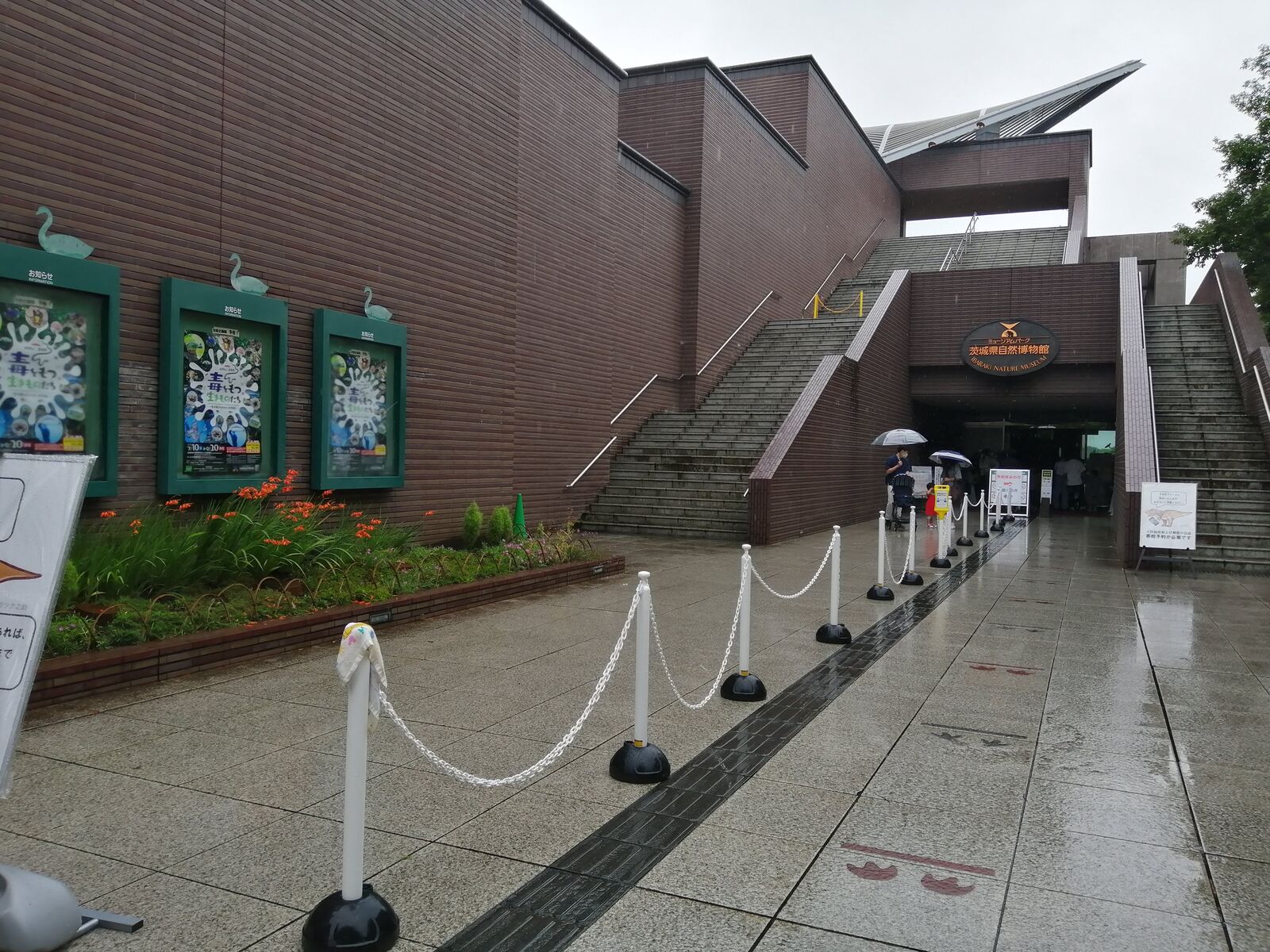 茨城県自然博物館